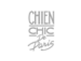 Chien Chic De Paris